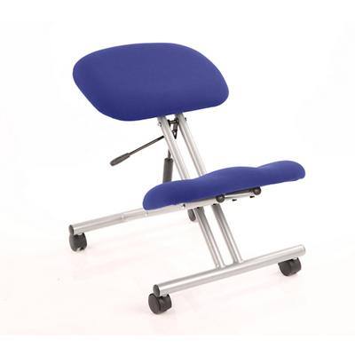 Dynamic Basic Tilt Task Operator Chair Without Arms Kneeler Stevia Blue Back, Silver Frame Without Headrest Medium Back