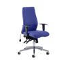 Dynamic Independent Seat & Back Posture Chair Height Adjustable Arms Onyx Stevia Blue Seat Without Headrest High Back