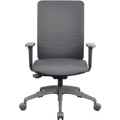 Ergonomic Office Chair Omega Mesh, Fabric Black