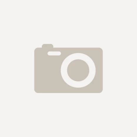 %216099082_alt2
