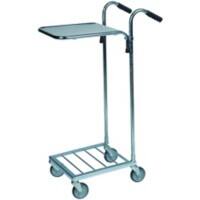 SLINGSBY Mail Trolley 35 kg Steel 109 x 38.5 x 109 cm Silver