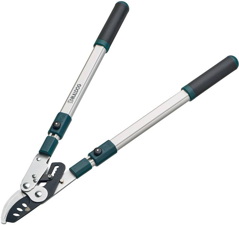 SLINGSBY Shears Silver 380368