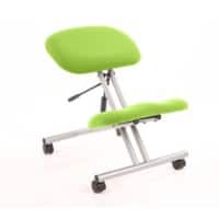 Dynamic Basic Tilt Task Operator Chair Without Arms Kneeler Myrrh Green Back, Silver Frame Without Headrest Medium Back