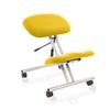 Dynamic Basic Tilt Task Operator Chair Without Arms Kneeler Senna Yellow Back, Silver Frame Without Headrest Medium Back