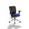 Dynamic Independent Seat & Back Posture Chair Height Adjustable Arms Chiro Black Back, Stevia Blue Seat Without Headrest Medium Back