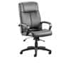 Dynamic Basic Tilt Executive Chair Fixed Arms Plaza Black Seat Without Headrest High Back