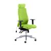 Dynamic Independent Seat & Back Posture Chair Height Adjustable Arms Onyx Myrrh Green Seat With Adjustable Headrest High Back