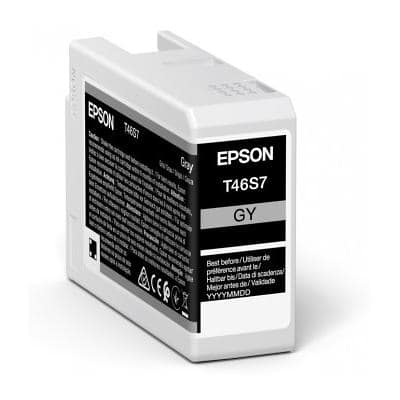 Epson T46S7 Original Ink Cartridge C13T46S700 Grey
