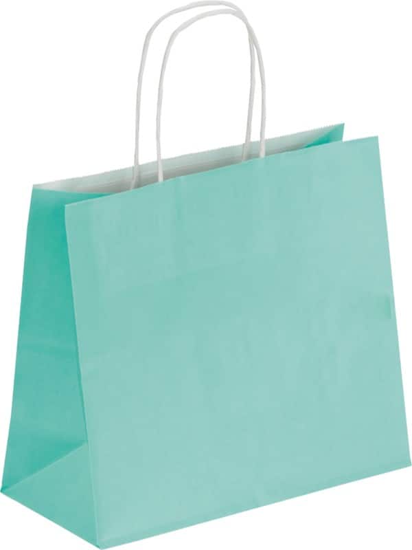 RAJA Carrier Bag Paper Sea Green 100 gsm 21 x 11 x 24 cm Pack of 50