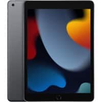 Apple iPad 256 GB 25.9 cm (10.2") Wi-Fi 5 (802.11ac) iPadOS 15 Grey