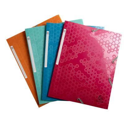  Exacompta A4 3-Flap Folder with Elastics - Assorted : Office  Products