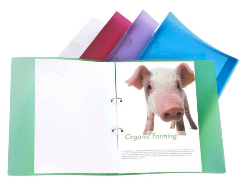 Rapesco 25 mm Ring Binder PP (Polypropylene) A4 2 Rings Assorted Pack of 10