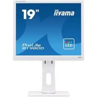 iiyama Gaming Monitor B1980D-W1 48 cm 18.9"