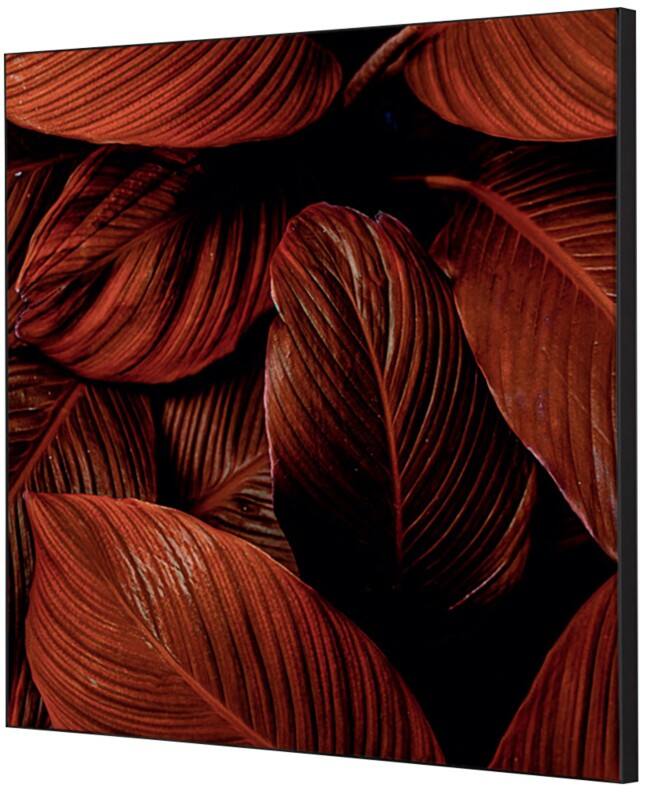 SHOWDOWN Botanical Leaves Textile Wall Decoration Multicolour Aluminium