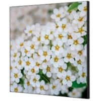 SHOWDOWN White Flower Textile Wall Decoration Multicolour Aluminium