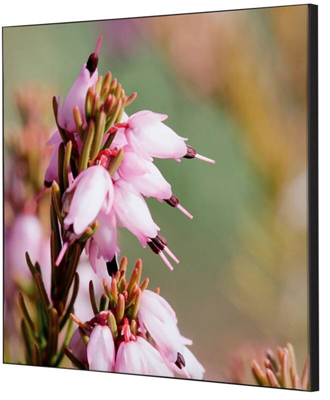 SHOWDOWN Pink Flower Textile Wall Decoration Multicolour Aluminium