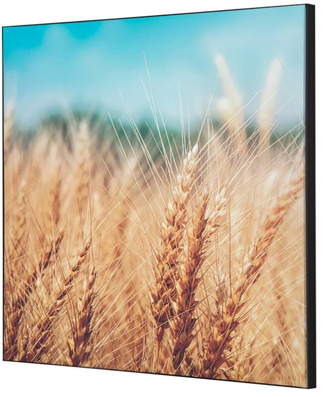 SHOWDOWN Grain Field Textile Wall Decoration Multicolour Aluminium