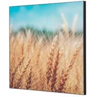 SHOWDOWN Grain Field Textile Wall Decoration Multicolour Aluminium