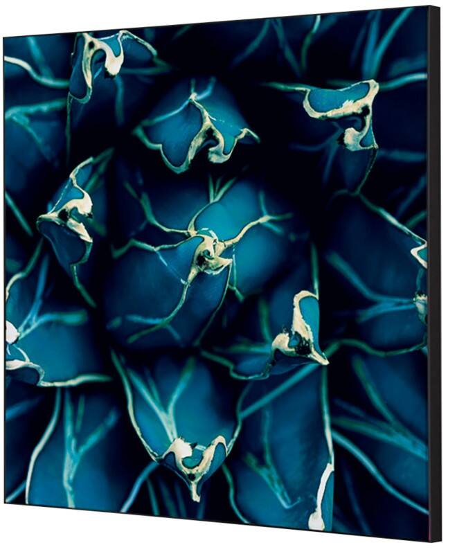 SHOWDOWN Cactus Textile Wall Decoration Multicolour Aluminium