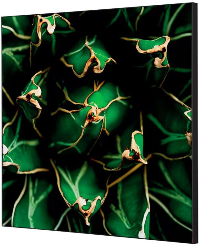 SHOWDOWN Cactus Textile Wall Decoration Multicolour Aluminium