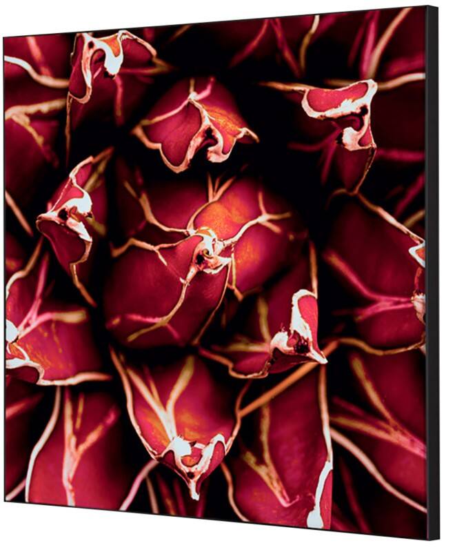 SHOWDOWN Cactus Textile Wall Decoration Multicolour Aluminium