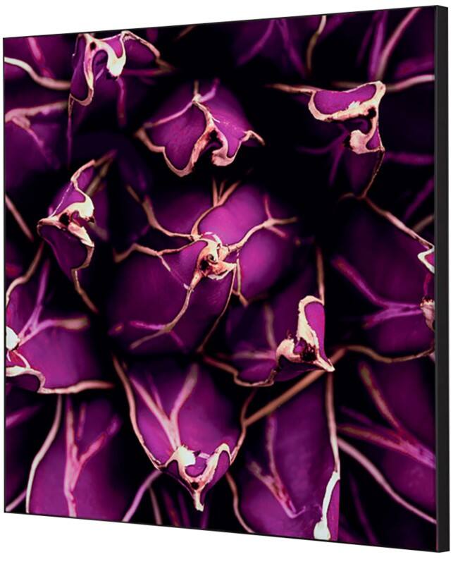 SHOWDOWN Cactus Textile Wall Decoration Multicolour Aluminium