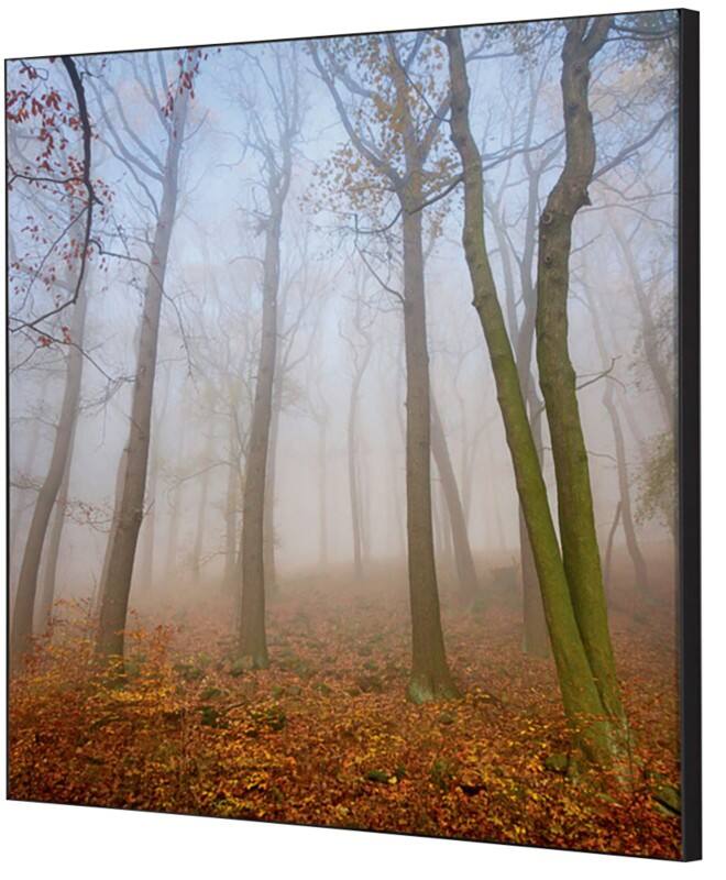 SHOWDOWN Autumn Mist Textile Wall Decoration Multicolour Aluminium