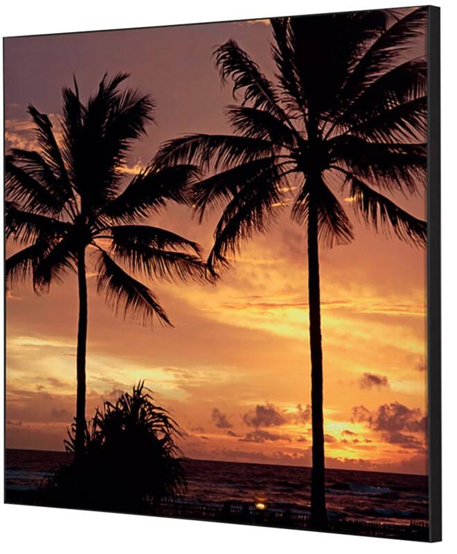 SHOWDOWN Palmtrees Sunset Textile Wall Decoration Multicolour Aluminium