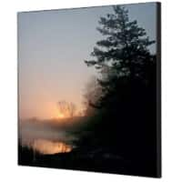 SHOWDOWN Forest Sunrise Textile Wall Decoration Multicolour Aluminium