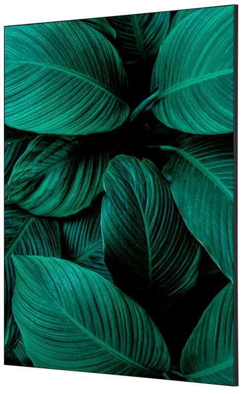 SHOWDOWN Botanical Leaves Textile Wall Decoration Multicolour Aluminium