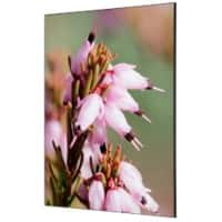 SHOWDOWN Pink Flower Textile Wall Decoration Multicolour Aluminium