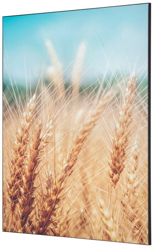 SHOWDOWN Grain Field Textile Wall Decoration Multicolour Aluminium