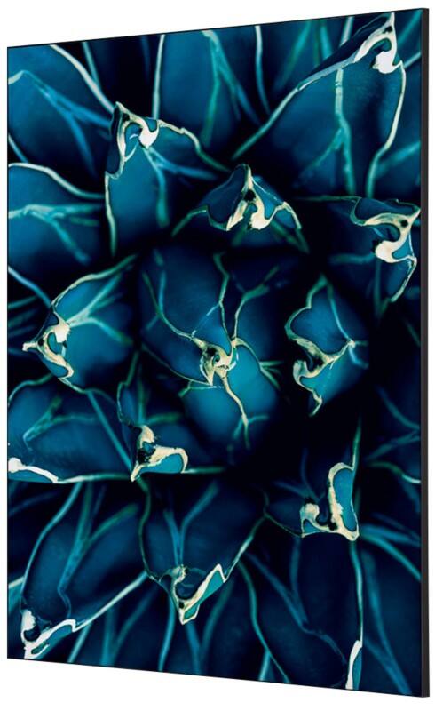 SHOWDOWN Cactus Textile Wall Decoration Multicolour Aluminium