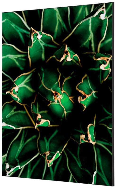 SHOWDOWN Cactus Textile Wall Decoration Multicolour Aluminium