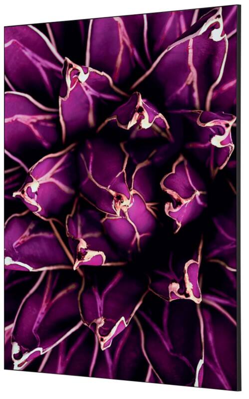 SHOWDOWN Cactus Textile Wall Decoration Multicolour Aluminium