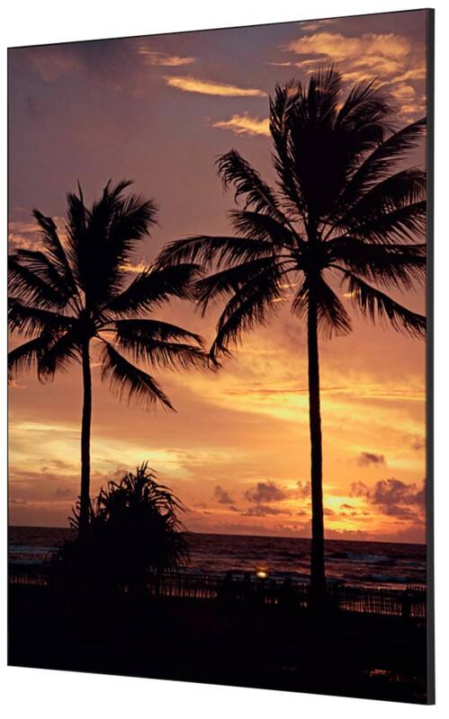 SHOWDOWN Palmtrees Sunset Textile Wall Decoration Multicolour Aluminium