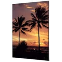 SHOWDOWN Palmtrees Sunset Textile Wall Decoration Multicolour Aluminium