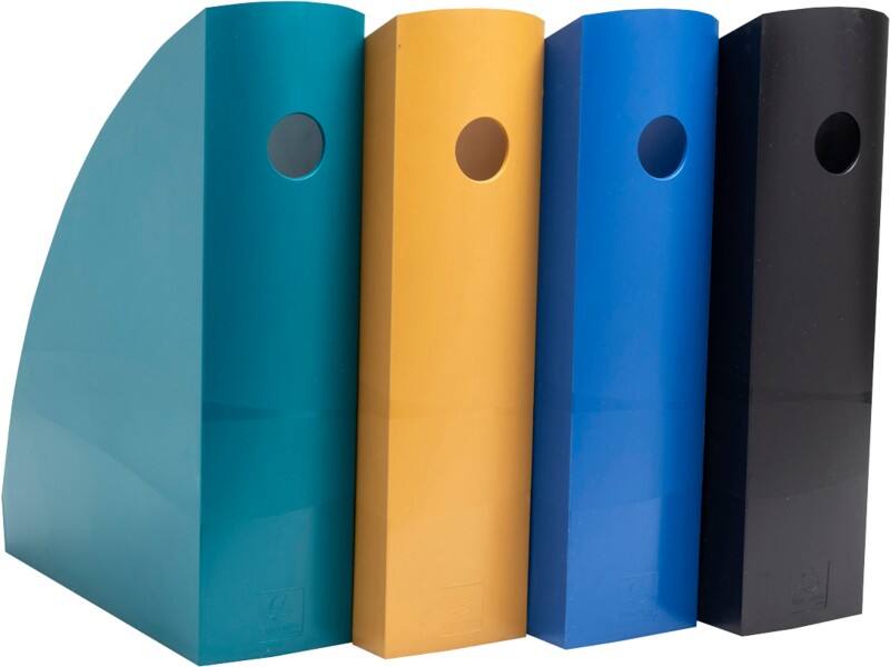 Exacompta Neo Deco Magazine File A4 Maxi Assorted Pack of 4