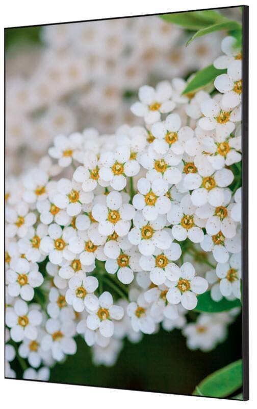 SHOWDOWN White Flower Textile Wall Decoration Multicolour Aluminium