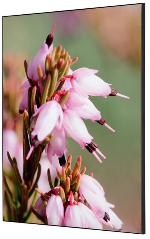 SHOWDOWN Pink Flower Textile Wall Decoration Multicolour Aluminium