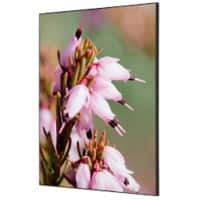 SHOWDOWN Pink Flower Textile Wall Decoration Multicolour Aluminium