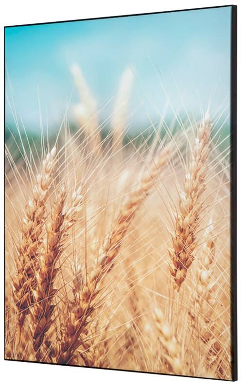 SHOWDOWN Grain Field Textile Wall Decoration Multicolour Aluminium