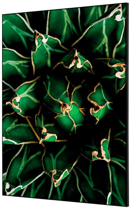 SHOWDOWN Cactus Textile Wall Decoration Multicolour Aluminium