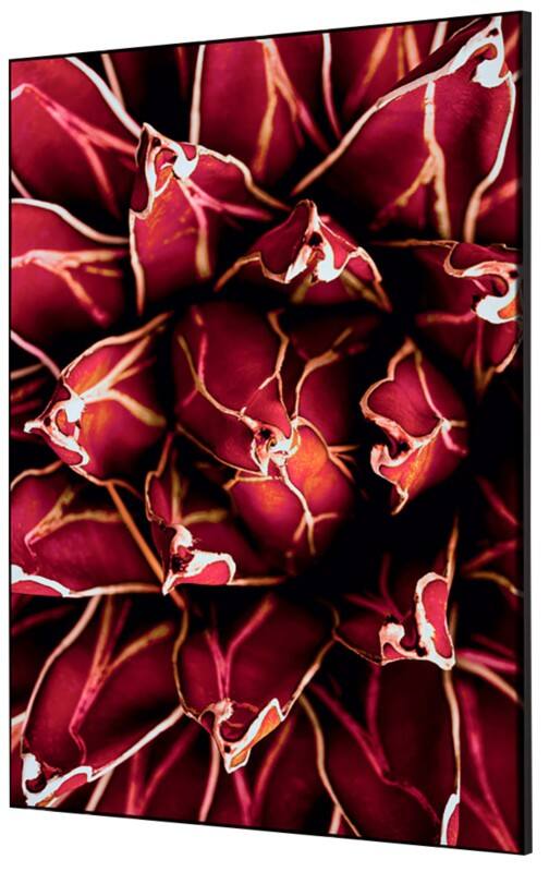 SHOWDOWN Cactus Textile Wall Decoration Multicolour Aluminium