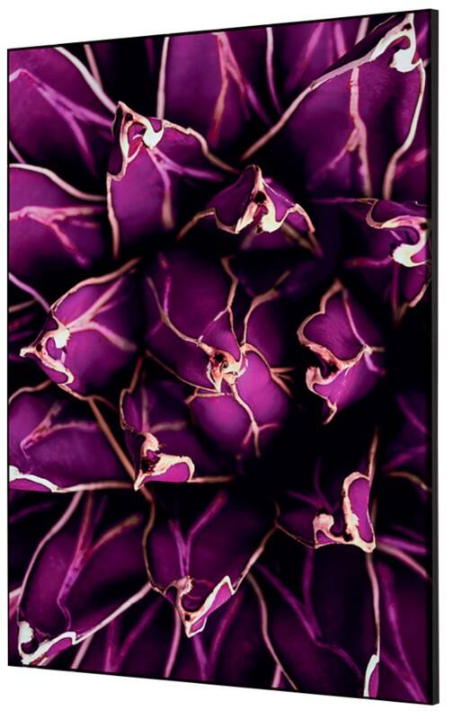 SHOWDOWN Cactus Textile Wall Decoration Multicolour Aluminium