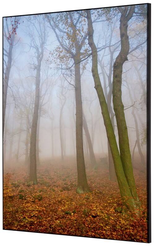 SHOWDOWN Autumn Mist Textile Wall Decoration Multicolour Aluminium