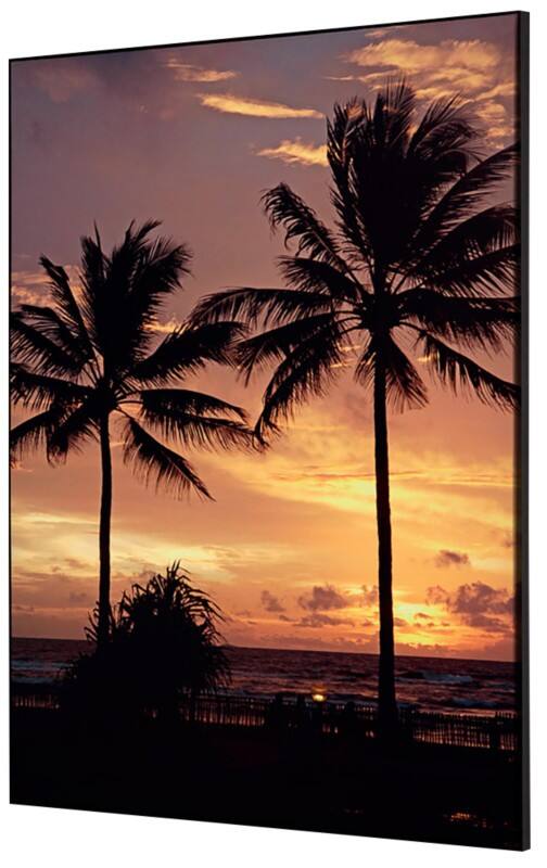 SHOWDOWN Palmtrees Sunset Textile Wall Decoration Multicolour Aluminium