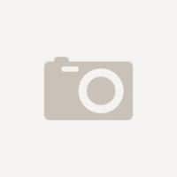 Chartwell A4 Graph Pad White 70 gsm