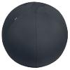 Leitz Ergo Ergonomic Sitting Ball 6542 Stopper Function Carry Handle Washable 65 cm Up to 150 kg Dark Grey