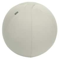 Leitz Ergo Ergonomic Sitting Ball 6541 Stopper Function Carry Handle Washable 55 cm Up to 120 kg Light Grey